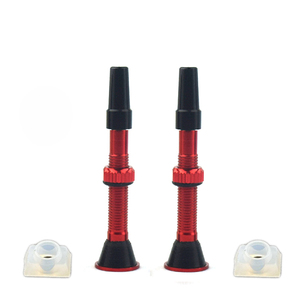 Toolon New Presta Solid Tire Valve Tubeless PVA02
