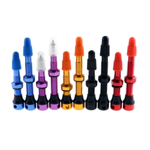 Presta Valve Stem Tubeless Aluminum Anodized French Valve
