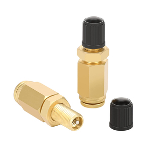 1/4 NPT PTC Hromee Inflation Painted Brass Schrader Valve for Trailer